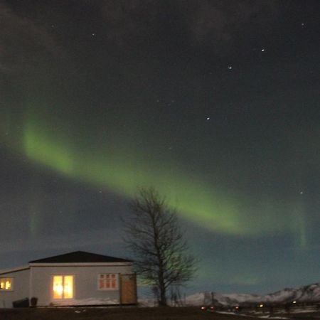 Gamla Husith - The Old House Villa Selfoss Dış mekan fotoğraf