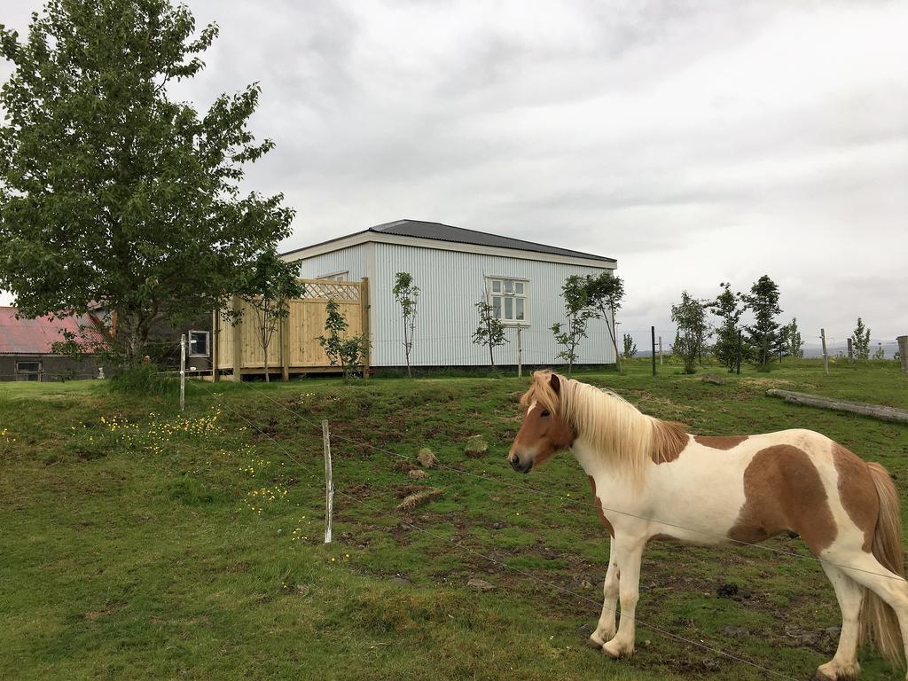 Gamla Husith - The Old House Villa Selfoss Dış mekan fotoğraf