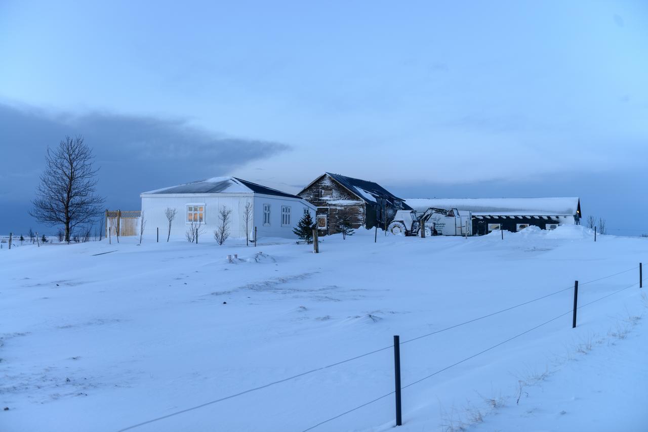 Gamla Husith - The Old House Villa Selfoss Dış mekan fotoğraf